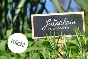 Gutscheine von klotzaufkotz Gutscheine von klotzaufkotz